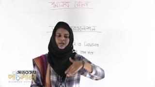 05 Osmoregulation  অসমোরেগুলেশন  OnnoRokom Pathshala [upl. by Engelhart933]