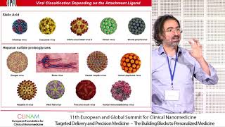 Nanoparticles as Antivirals [upl. by Crofoot]