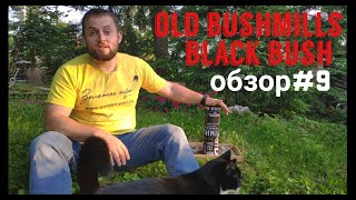 Old Bushmills Black Bush  Dacha review  Обзор9 [upl. by Nahte]