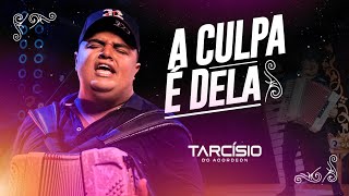 A CULPA É DELA  Tarcísio do Acordeon ÁUDIO OFICIAL [upl. by Rodger719]