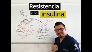 Resistencia a la insulina con Leo Martínez [upl. by Tirb941]