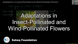 Adaptations in InsectPollinated and windPollinated Flowers Biology Lecture  Sabaqpk [upl. by Kcolttam]