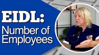 EIDL Application If You Have NO EMPLOYEES How do you Fill Out the Application [upl. by Pierce481]