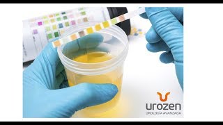 UROZEN Causas de las Infecciones Urinarias Recurrentes [upl. by Kantor]