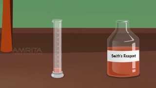 Detection of Bile Salt in Urine  MeitY OLabs [upl. by Oironoh]