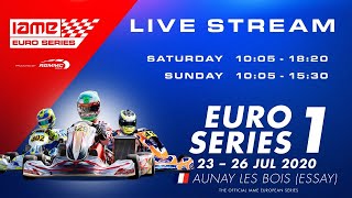 IAME Euro Series 2020 Round 1 Essay France  Sunday [upl. by Alauqahs]