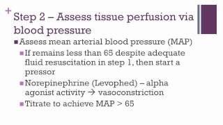 Severe Sepsis and Septic Shock Protocols [upl. by Esile671]