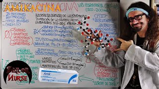 💊 Amikacina quotAmicacinaquot Antibiótico Aminoglucósido [upl. by Dinse]