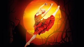 Don Quixote trailer The Royal Ballet [upl. by Milda]