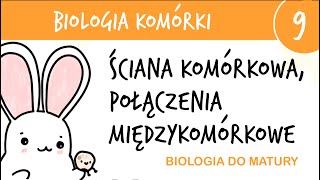 Cytologia 9  Ściana komórkowa i połączenia międzykomórkowe  biologia liceum do matury rozszerzona [upl. by Amadeo]