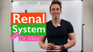 Renal System  Overview [upl. by Sivrat]