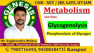 Glycogenolysis  Glycogen Breakdown CSIR NETJRF  GATE  Life science  ICMR [upl. by Dnamron630]