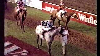 1991 Darwin Cup [upl. by Schnabel]