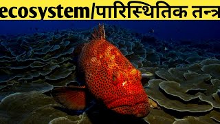 ecosystem परिस्थितिकी तन्त्रand its types types of ecosystems  परिस्थितिकी तन्त्र क्या है [upl. by Lette30]