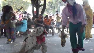 Historia de la danza comedia tradicional de los tecuanes EN FOTOS [upl. by Heger]