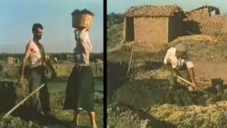 Produzione di tegole e mattoni nel Campidano di Oristano 1951 [upl. by Ennahgiel]