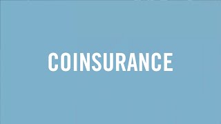 Understanding Jargon Coinsurance [upl. by Rasecoiluj]