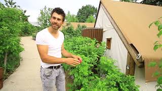 🔴 Gardeners World 2022  Inspirational Permaculture in Slovenia 🍀 Food Forest in an Eco Glamping [upl. by Eirot96]