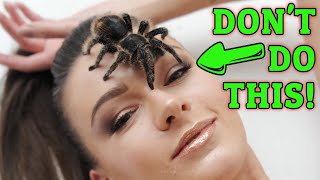 THE CURE How To Treat Urticating Hairs Tarantula [upl. by Shriver]