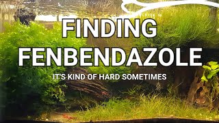 Where to Find Fenbendazole [upl. by Eulalee358]