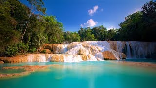 Cascadas de Agua Azul Chiapas México [upl. by Sachiko943]