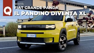 FIAT GRANDE PANDA 2024  Ora è “PANDONA” lunga 399 mt da 15000 euro  Motori stile e PREZZI [upl. by Xylia181]