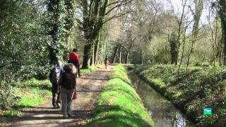 Film de promotion des Côtes dArmor [upl. by Notfilc935]