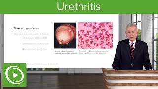 Urethritis Definition amp Pathology – Infectious Diseases  Lecturio [upl. by Terpstra]