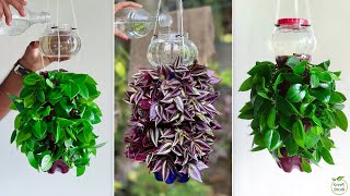 Turn Used Plastic Bottles into Unique Self Watering Planters  DIY Self Watering IdeasGREEN DECOR [upl. by Adorl]