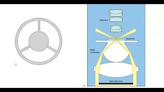 Dark field Microscope [upl. by Garnes]