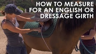 How To Measure Your Horse for English amp Dressage Girth Size [upl. by Orvil]