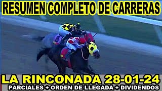 EL RESUMEN MAS COMPLETO DE CARRERAS HIPICAS 280124  LA RINCONADA [upl. by Accisej605]