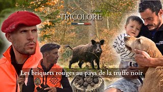 Saison chasse 2024  Chasse au sanglier dans le lot au pays de la truffe [upl. by Eislel938]