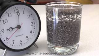 Watch Chia Seed Expanding in Time Lapse [upl. by Jacquetta]