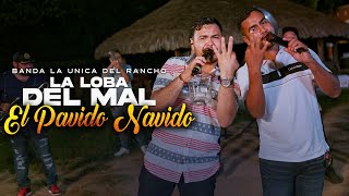 La Loba Del Mal El Pavido Navido  Banda La Única Del Rancho [upl. by Marti492]