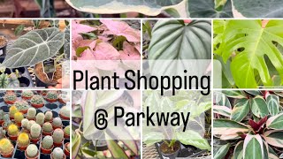 Plant Shopping  Parkway vlogmas [upl. by Ylirama891]