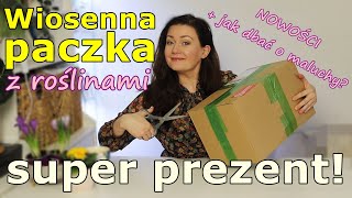 💚 MEGA ciekawe NOWE rośliny 💚 UNBOXING 💚 prezent od Mateusza z kanału Roślinna Dżungla [upl. by Staten14]