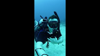 Scuba diving in Roatan roatan scubadiving nature morayeel seaturtles fish caribbean travel [upl. by Rouvin884]