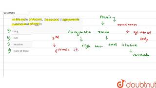 In life cycle of Ascaris the second stage juvenile hatches out of egg in [upl. by Annayoj]