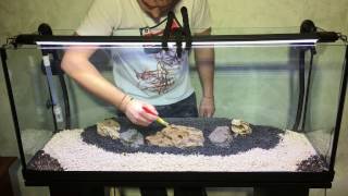 tutorial allestimento acquario aquarium [upl. by Libb187]