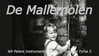 De Mallemolen Wil Peters Instrumental cover on Yamaha Tyros 5 [upl. by Timon]