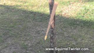 Squirrel Twirler  Spinning Squirrel Feeder [upl. by Lindsy]