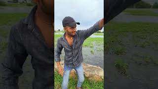 bula lio😭🤣 comedy shortvideo funny funnyvideo funnyvideo [upl. by Singh]