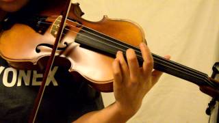 Tibets Spring  with Franz Sandner Violin Full Size 300p [upl. by Annaillil807]