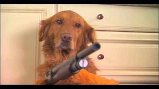 Dog Shoots Owner Crazy commercial [upl. by Smalley]