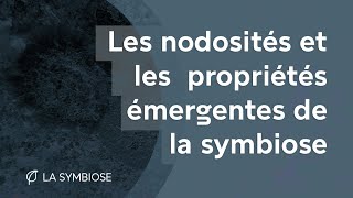 Les nodosités et les propriétés émergentes de la symbiose [upl. by Lemraj856]