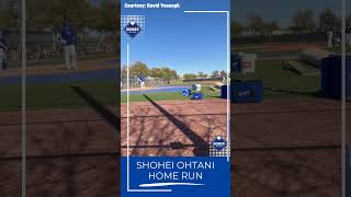 2024 Dodgers Spring Training Shohei Ohtani home run in live BP DodgerBlue shorts [upl. by Nahtannhoj974]