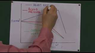 Postpartum hemorrhage  Causes and Types of PPH  Nursing Lecture [upl. by Panaggio199]