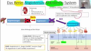 Hypertonie Vasodilatierende Pharmaka Herzinsuffizienz 2017 [upl. by Alrrats]