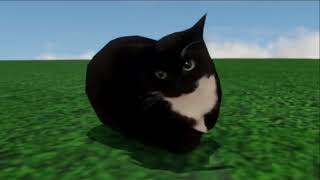 Maxwell the Cat dance 1 hour [upl. by Lorant]